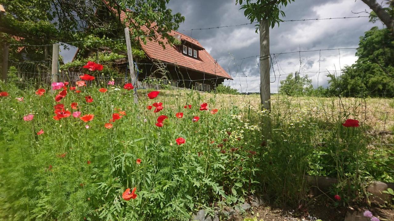 Gaestehaus Der Gamser Winzerstube Bad Gams Kültér fotó