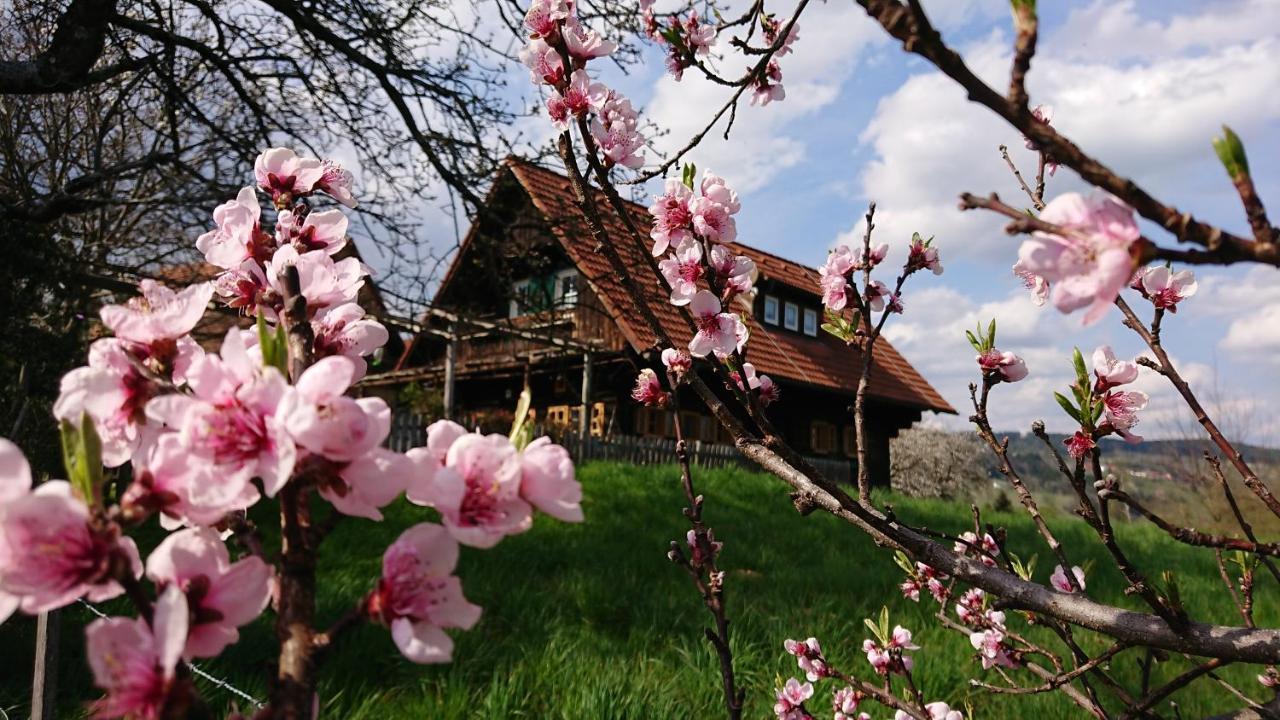 Gaestehaus Der Gamser Winzerstube Bad Gams Kültér fotó